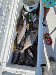 Hook the Big One in Oak Island NC!